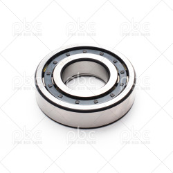 BEARING NUP 309